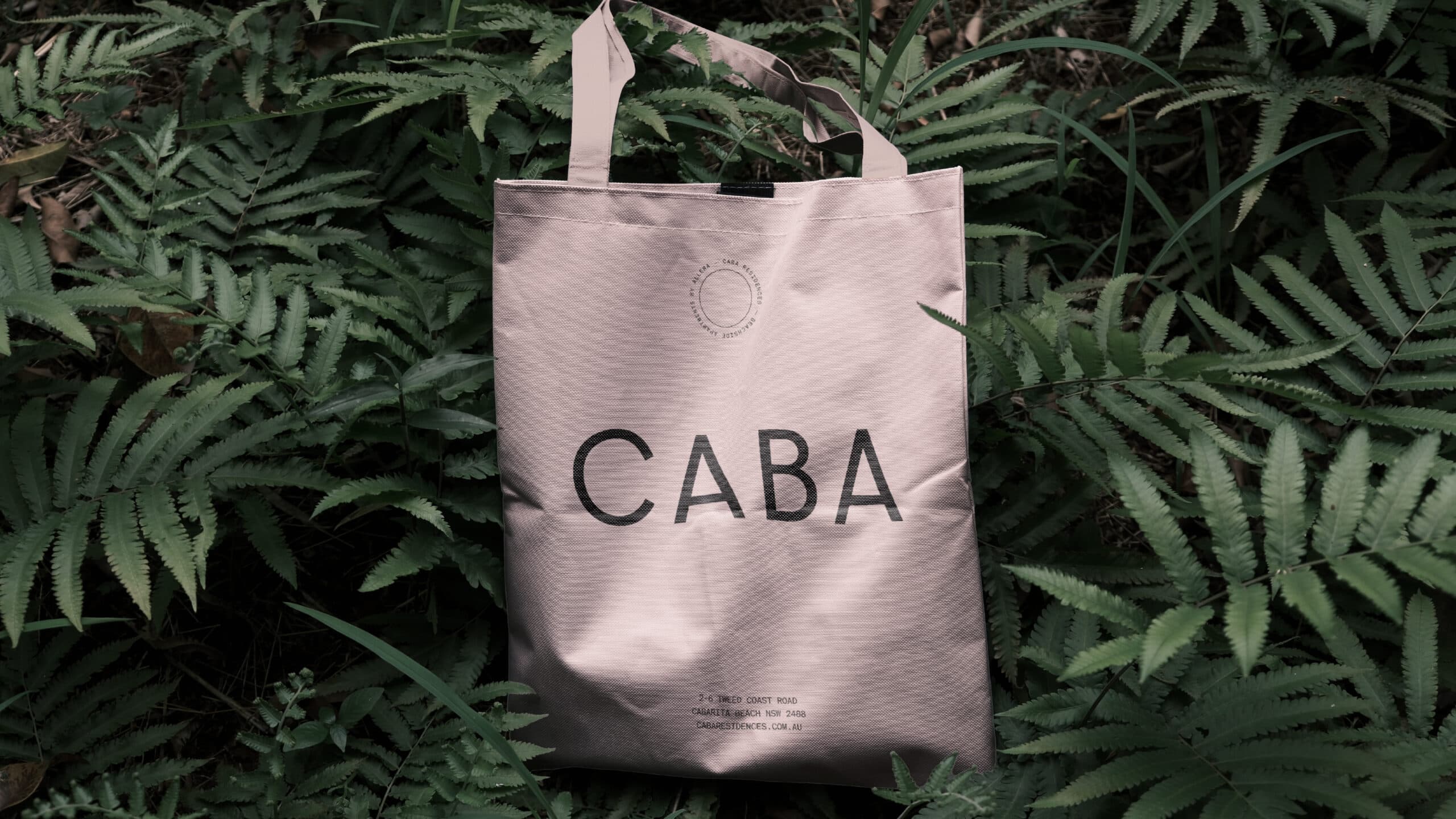CABA Brand One Page V1a17