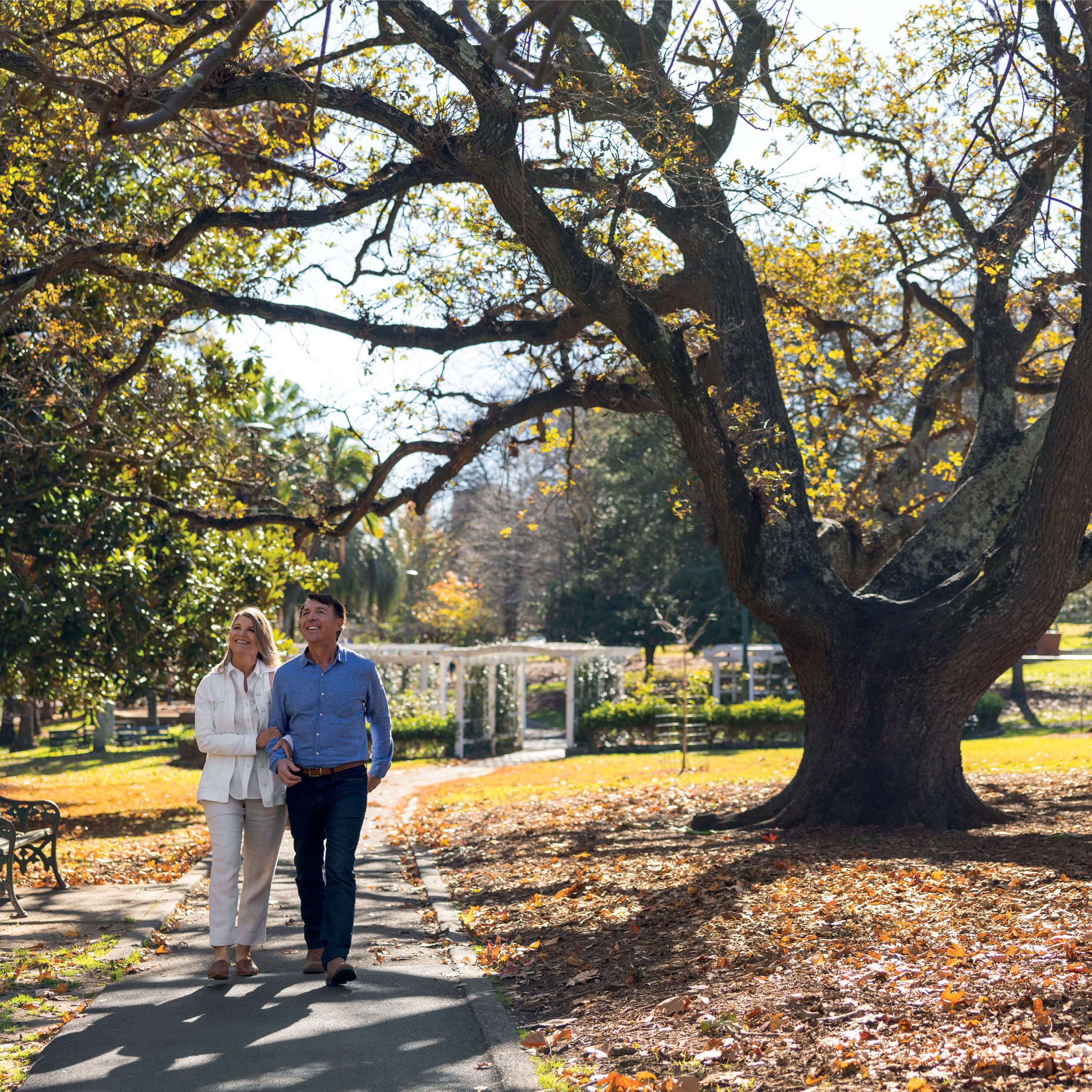Wahroonga4